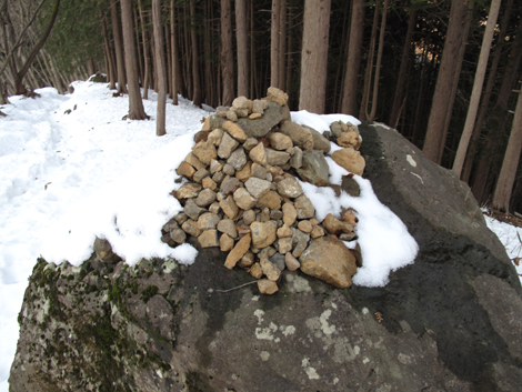 20180209hike (253)